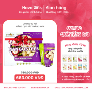 Combo Quà 8/3 - Giỏ Măng Cụt Sấy Thăng Hoa (12 Túi x 18g)